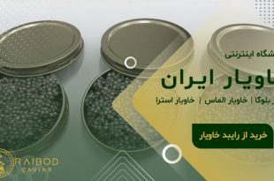 بسته‌بندی خاویار ایرانی برای صادرات